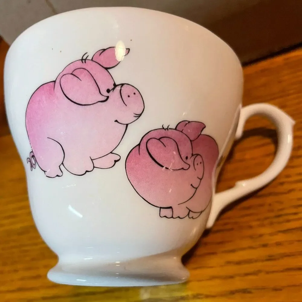 Vintage Retro Pink Pig Country Kitchen Teacup & Saucer Bone China Set
